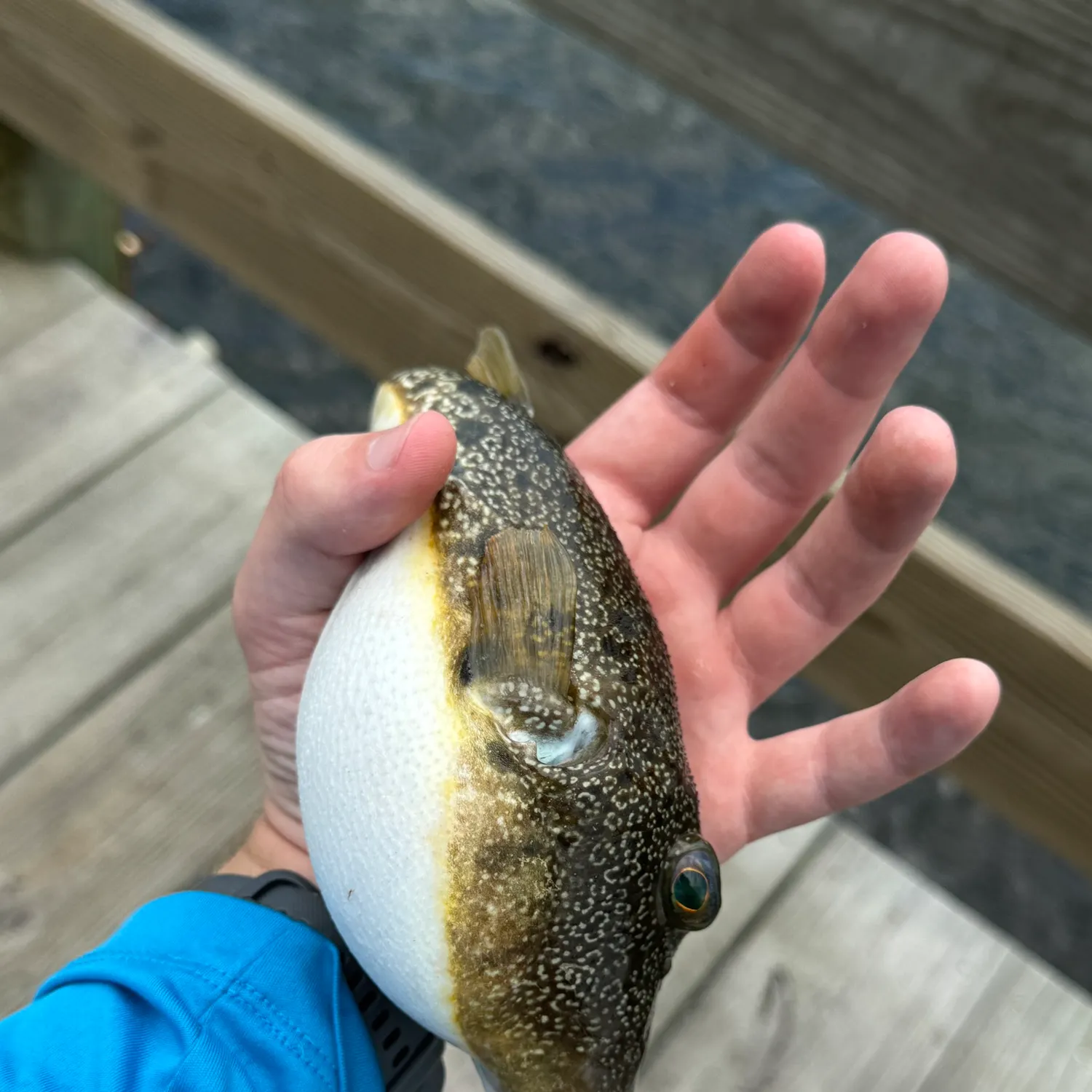 catch