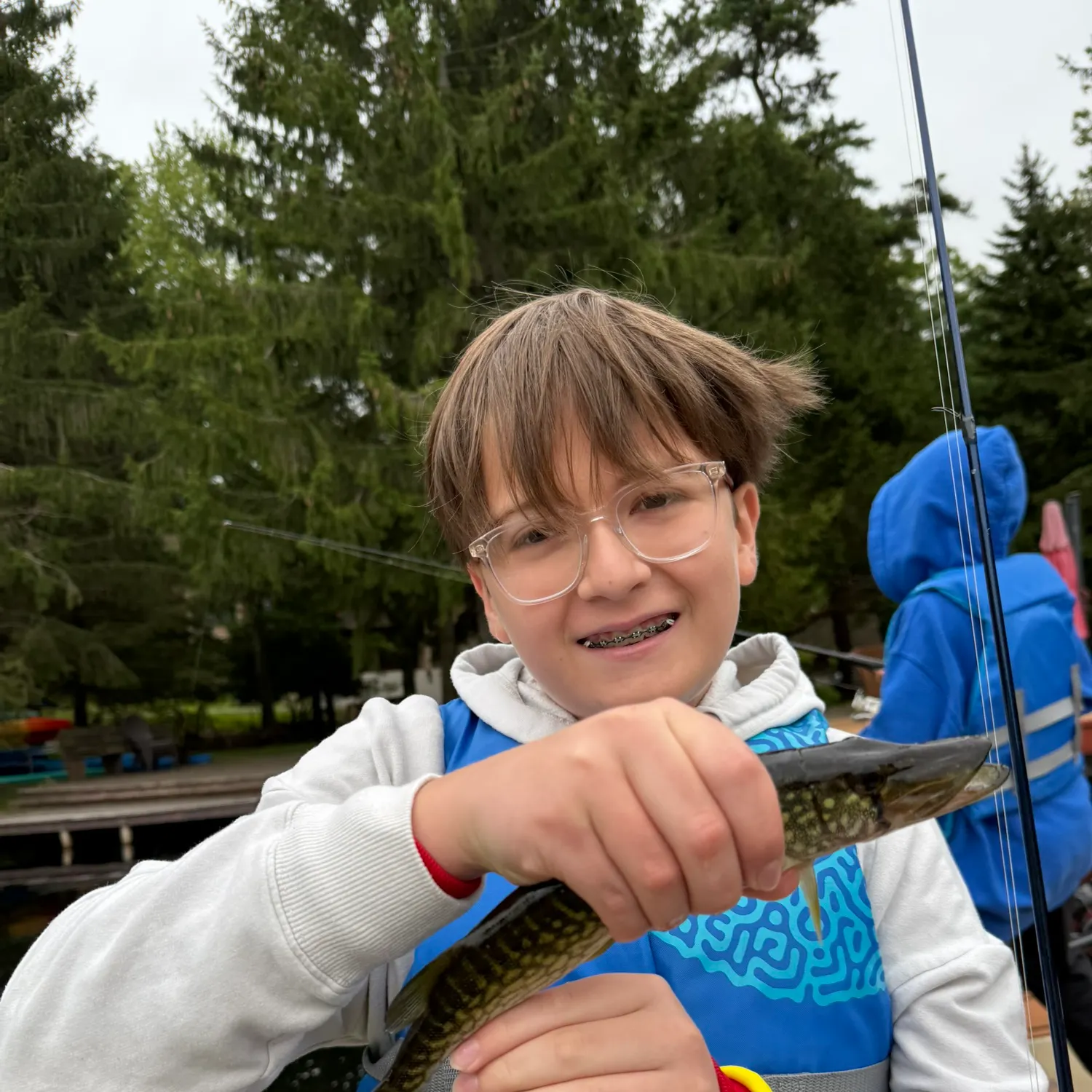 Grass pickerel caught on Fishbrain