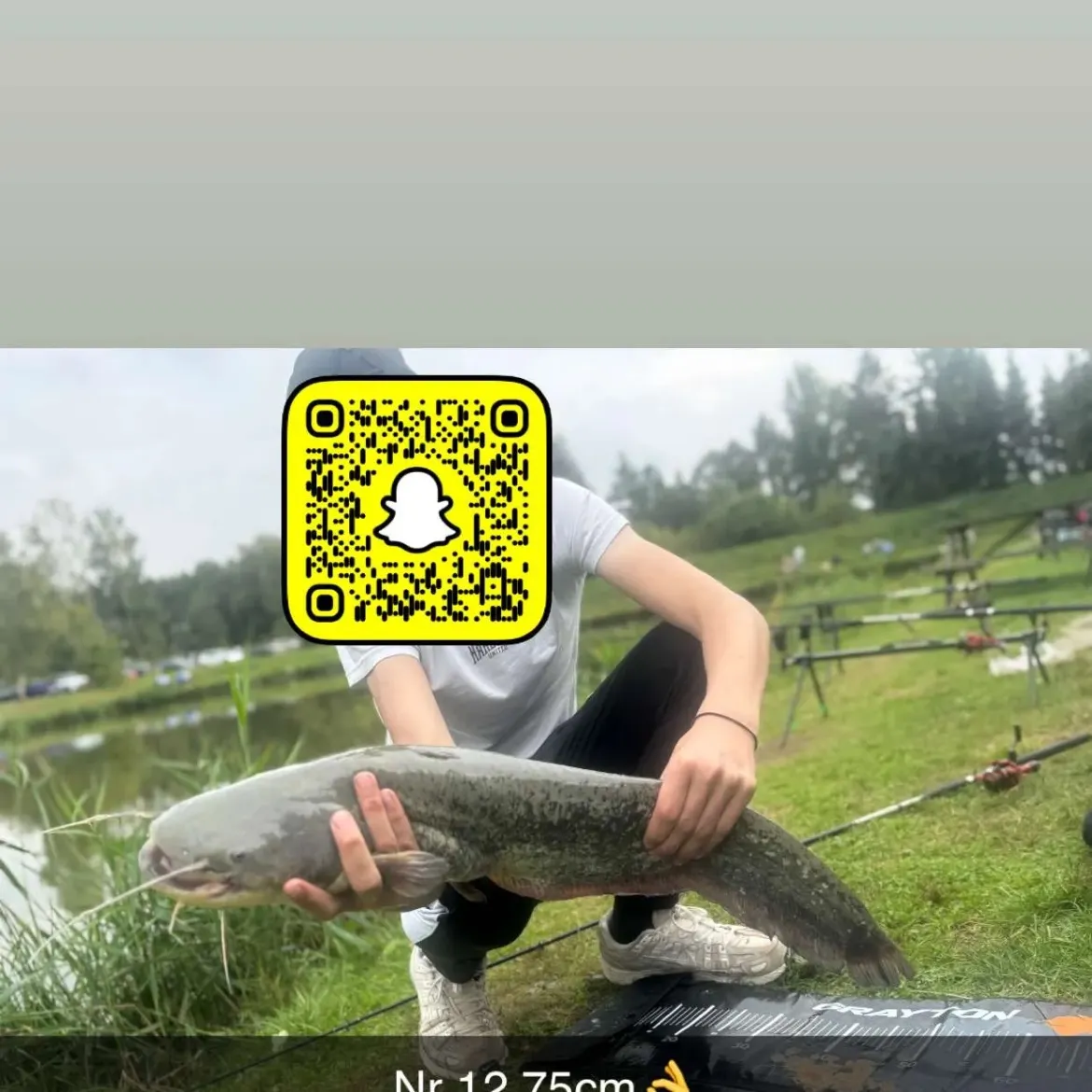 Wels catfish caught on Fishbrain