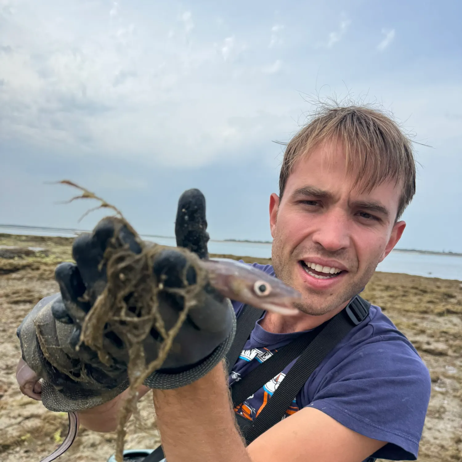 The most recent Longfin African conger catches on Fishbrain