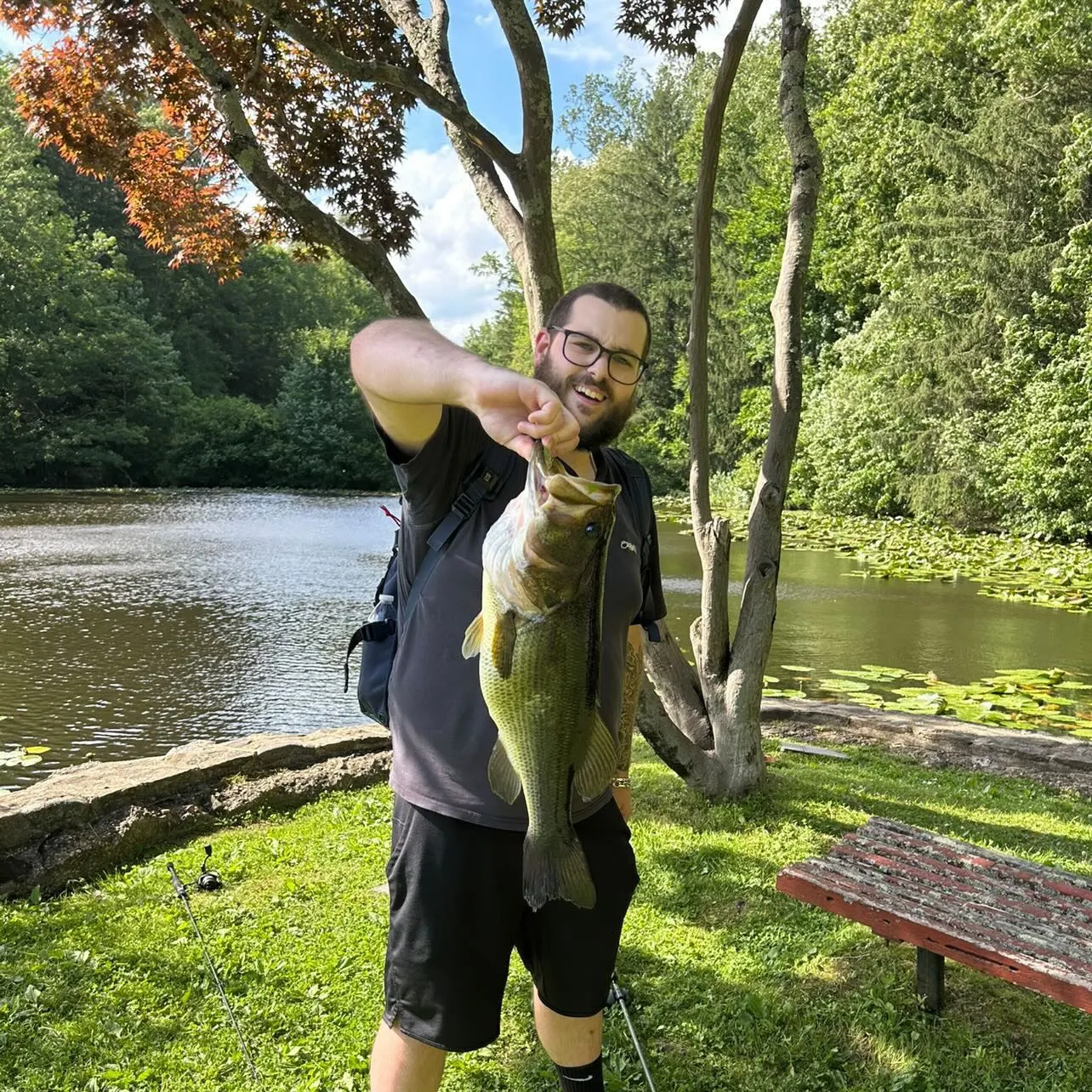 Largemouth bass caught on Fishbrain