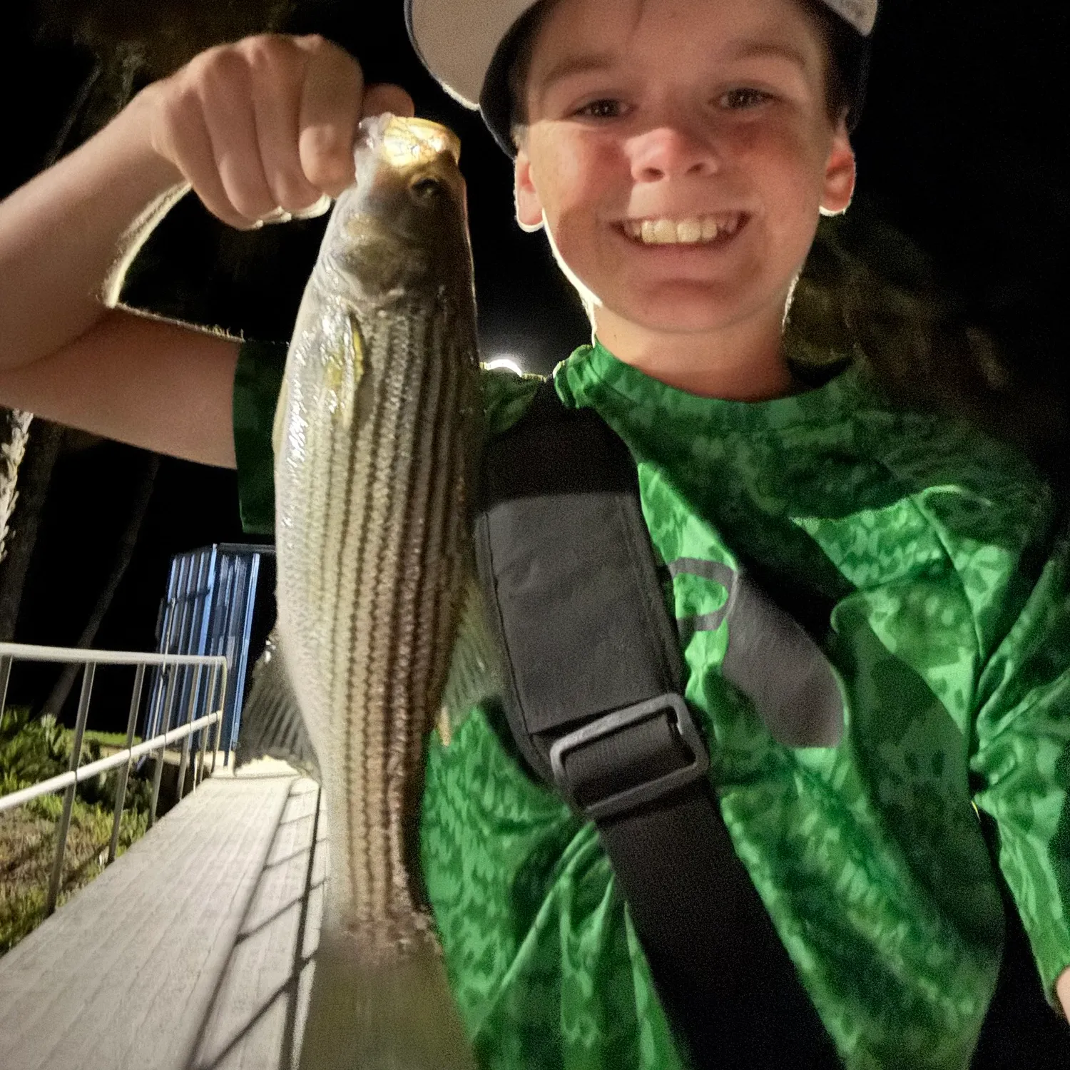 Striped bass caught on Fishbrain