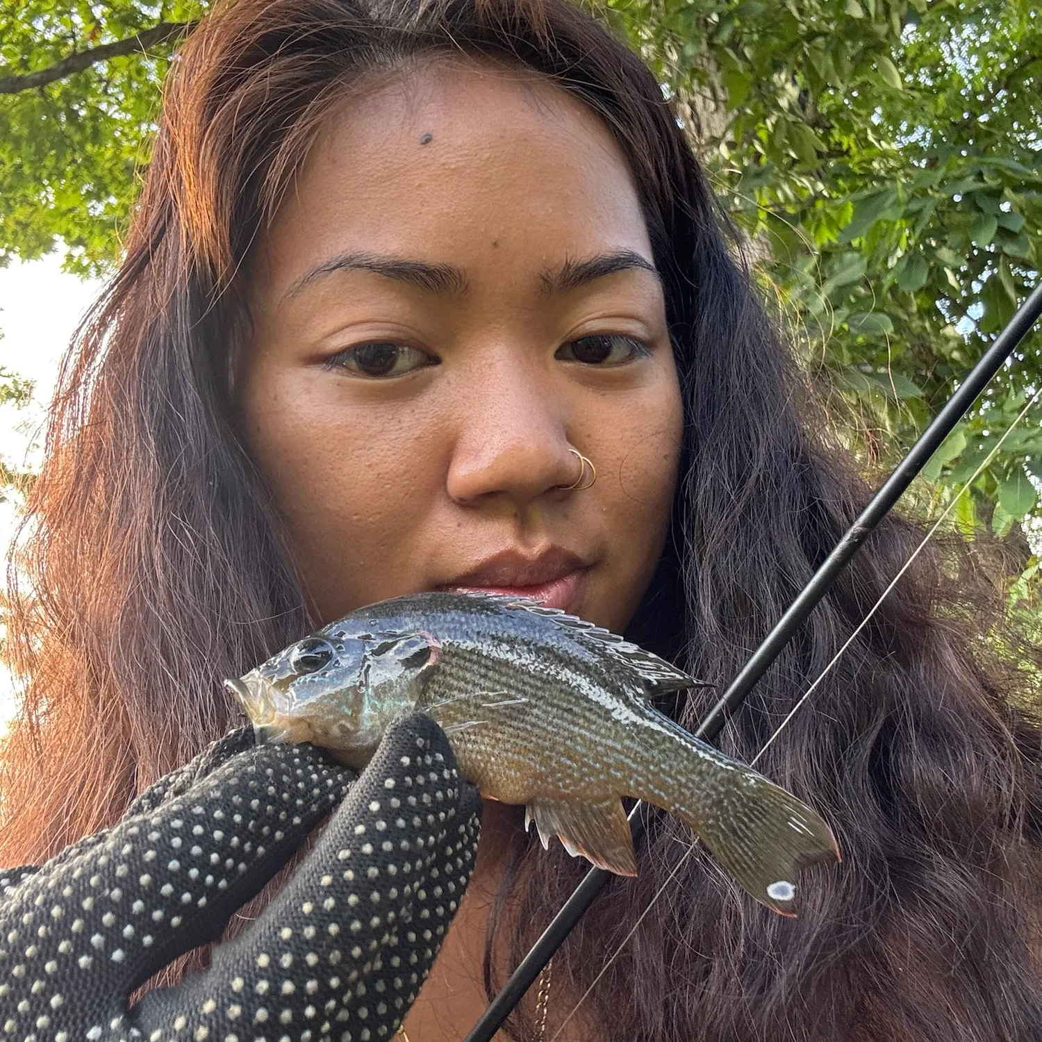 Green sunfish caught on Fishbrain