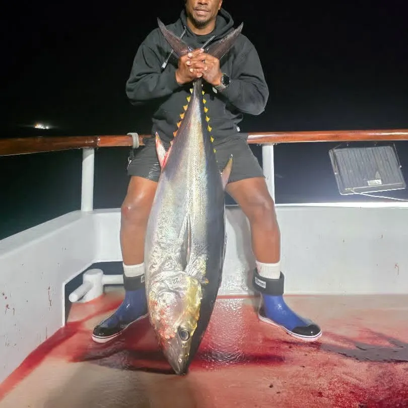 The most recent Pacific bluefin tuna catches on Fishbrain