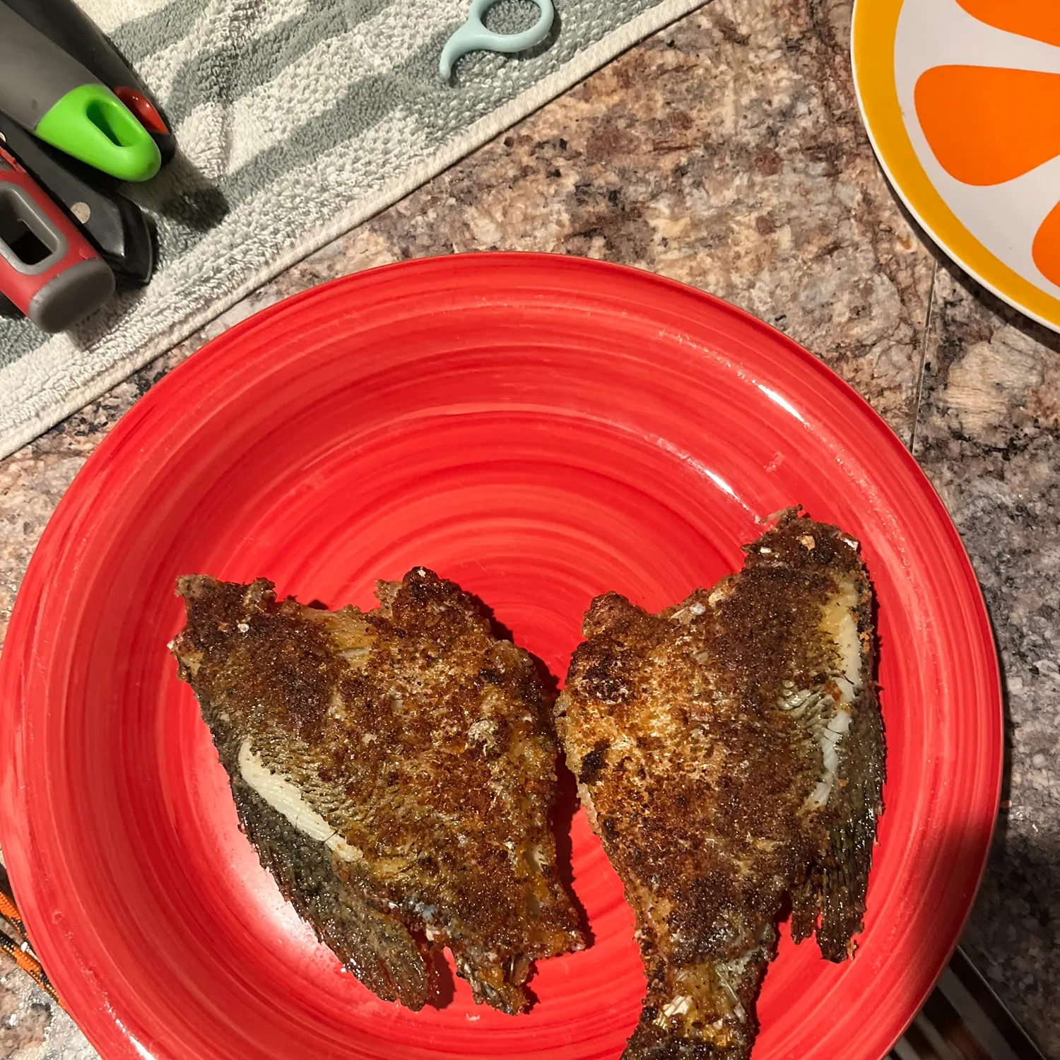 recently logged catches