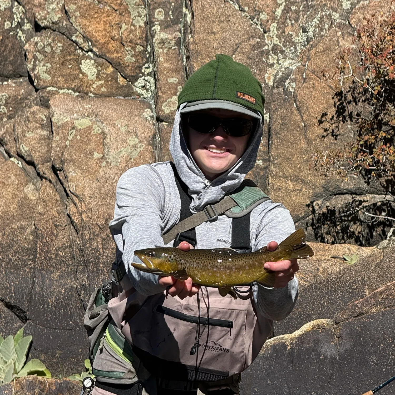 Brown trout caught on Fishbrain