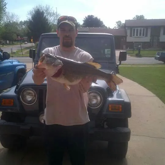 angler catch