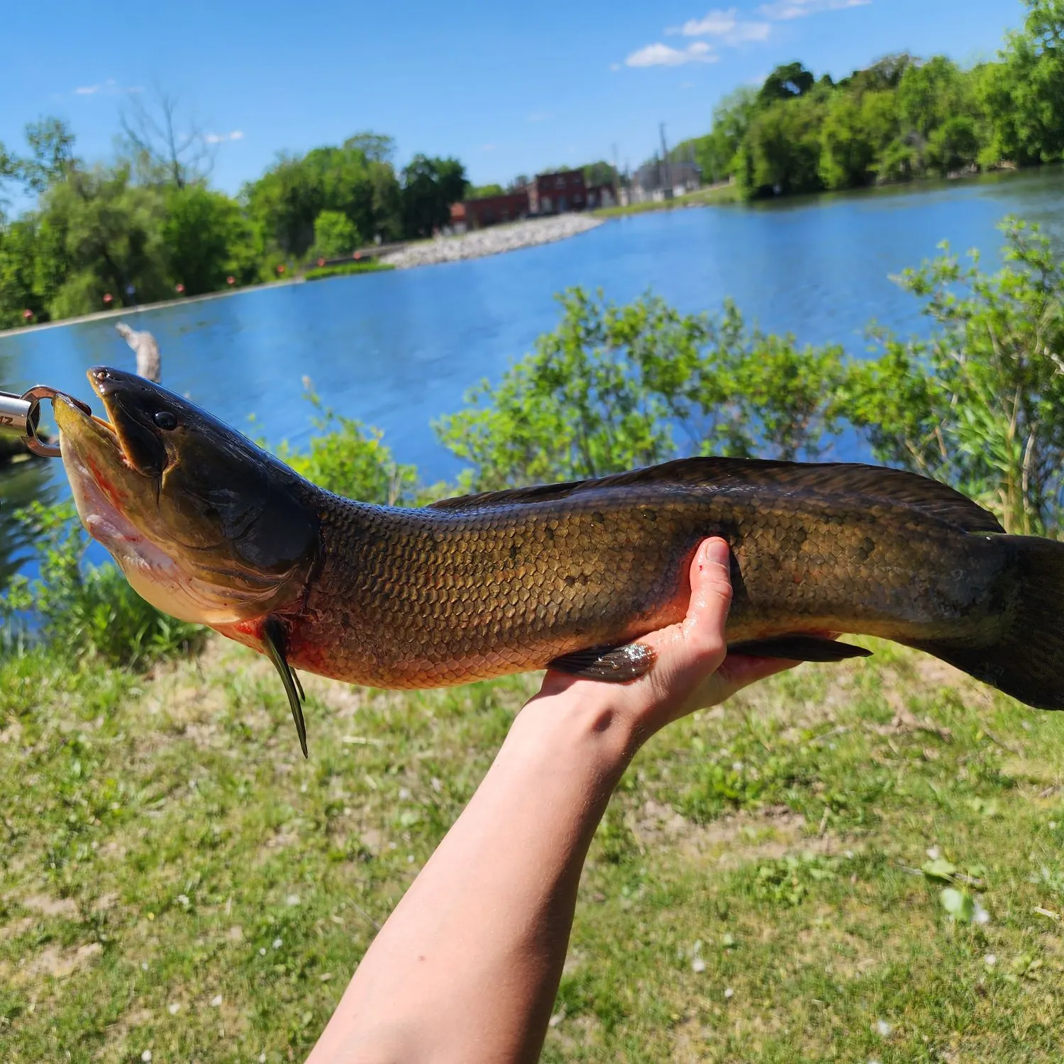 catch