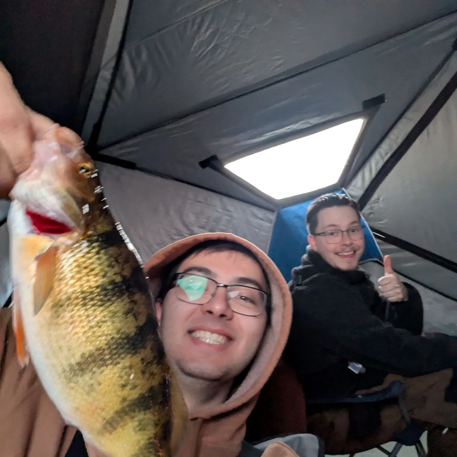 The most recent Yellow perch catches on Fishbrain