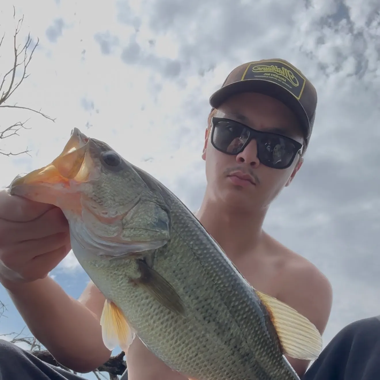 Largemouth bass caught on Fishbrain