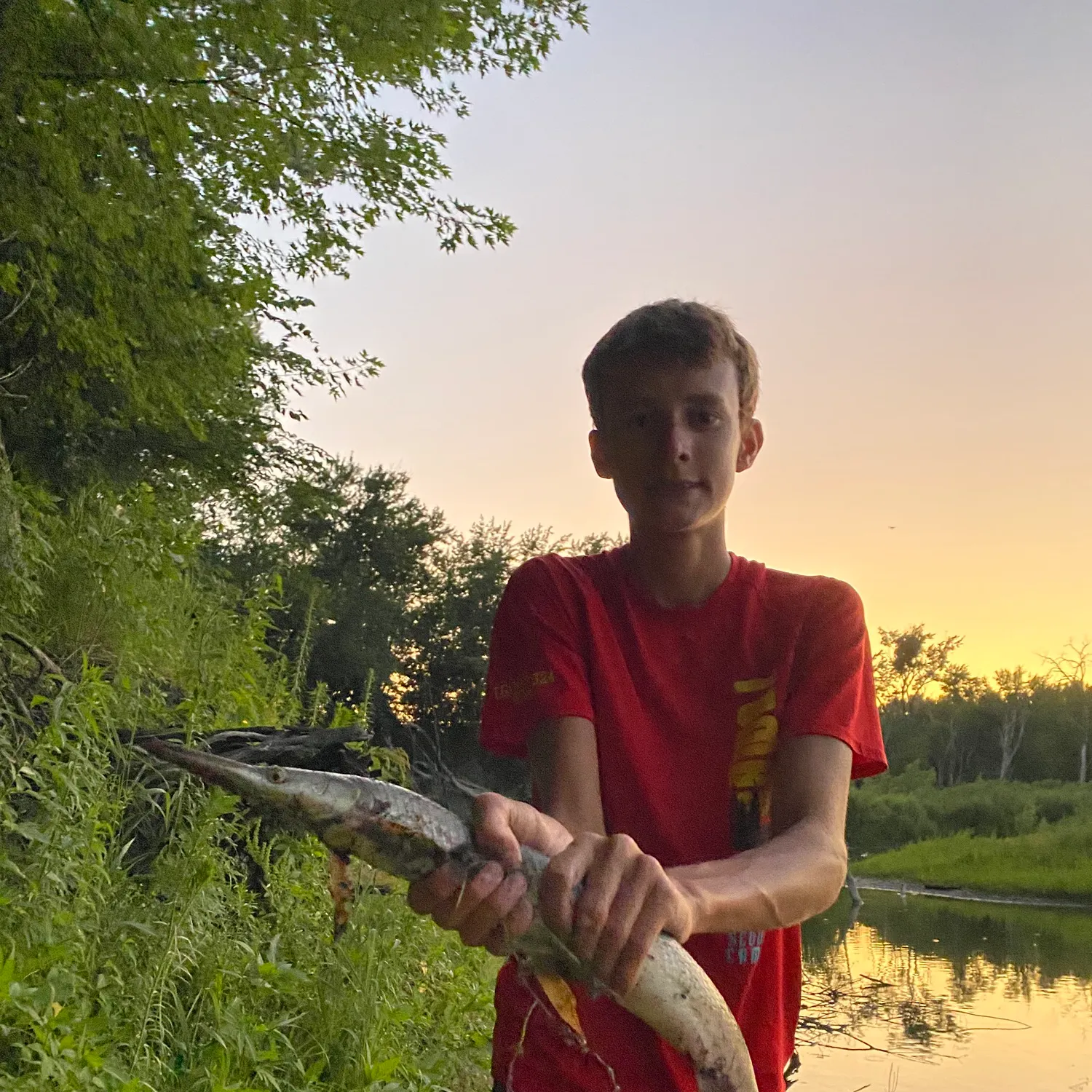 The most recent Longnose gar catches on Fishbrain