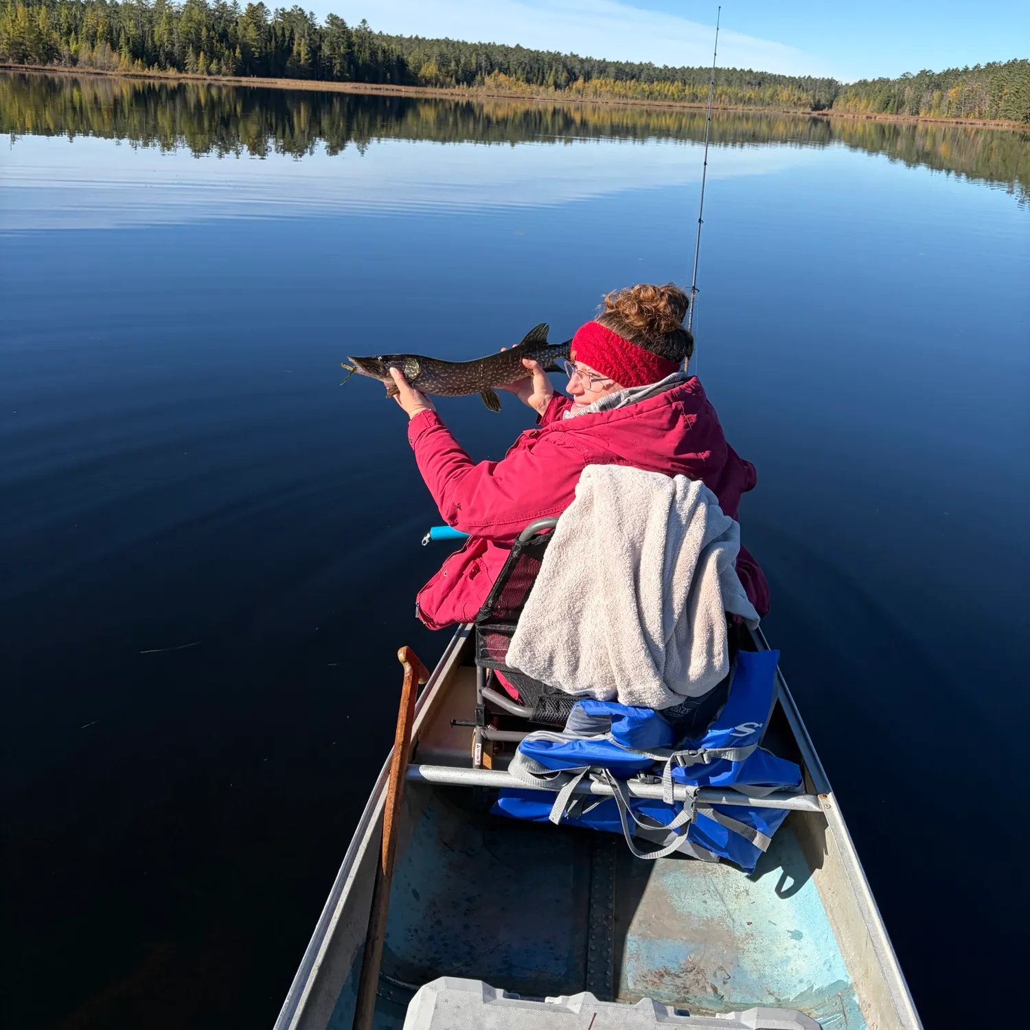 Northern pike caught on Fishbrain