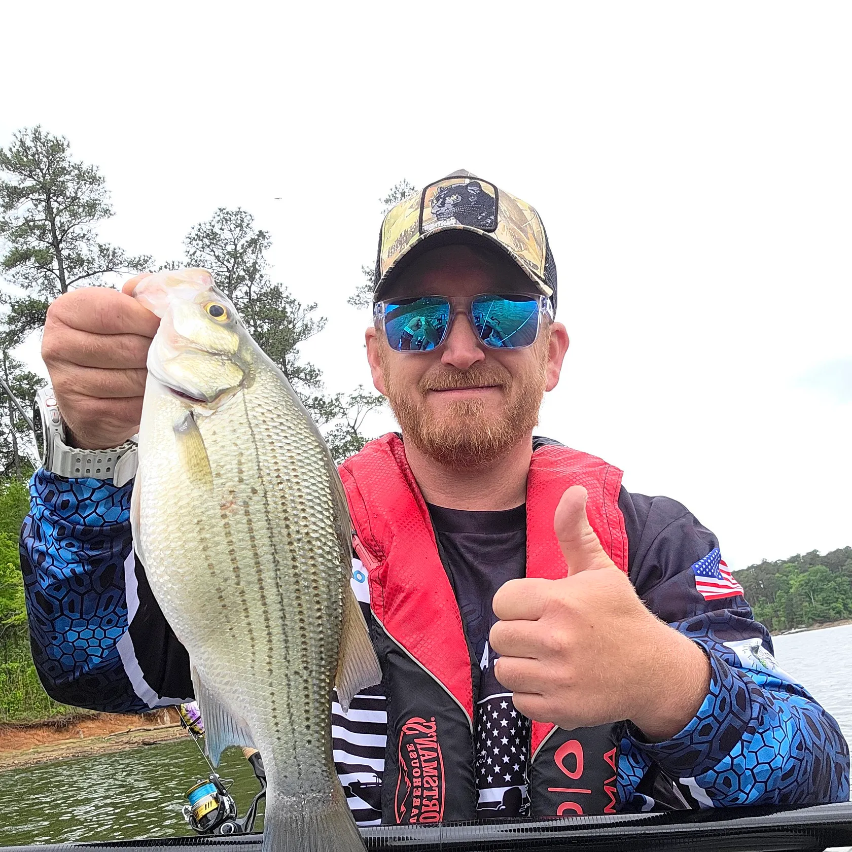 The most recent White bass catches on Fishbrain
