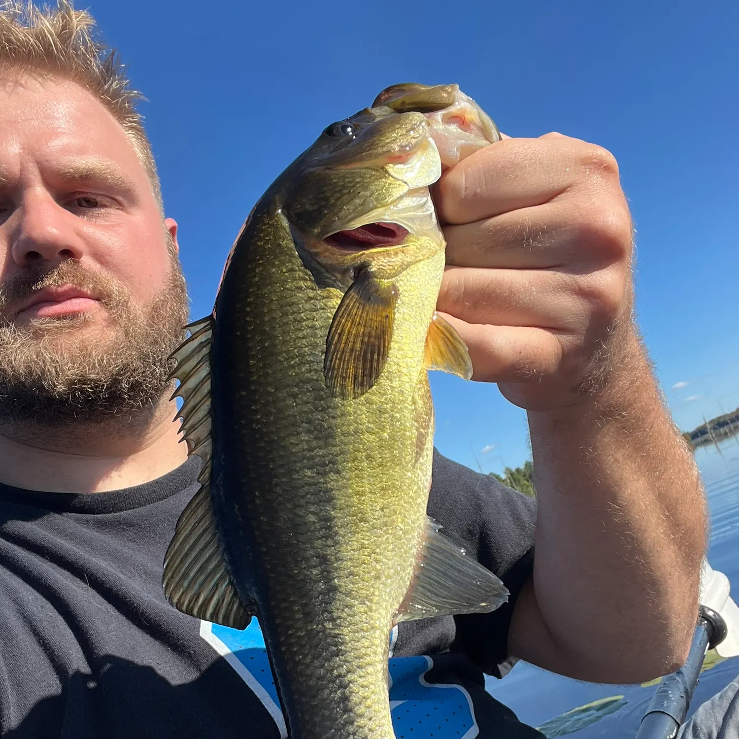 Largemouth bass caught on Fishbrain