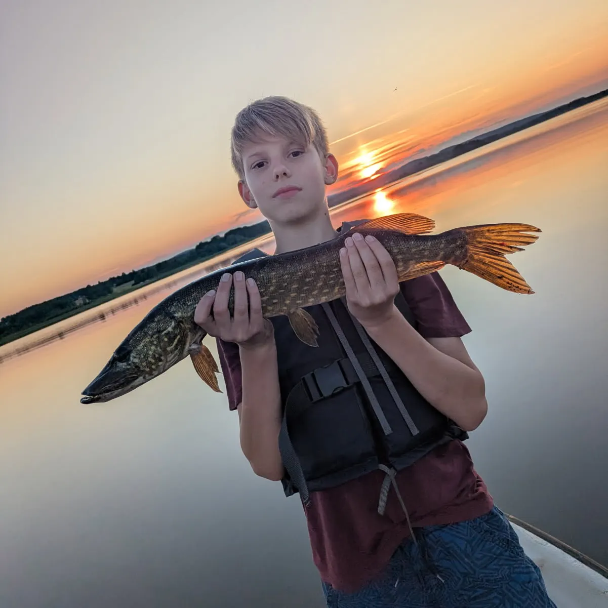 Northern pike caught on Fishbrain