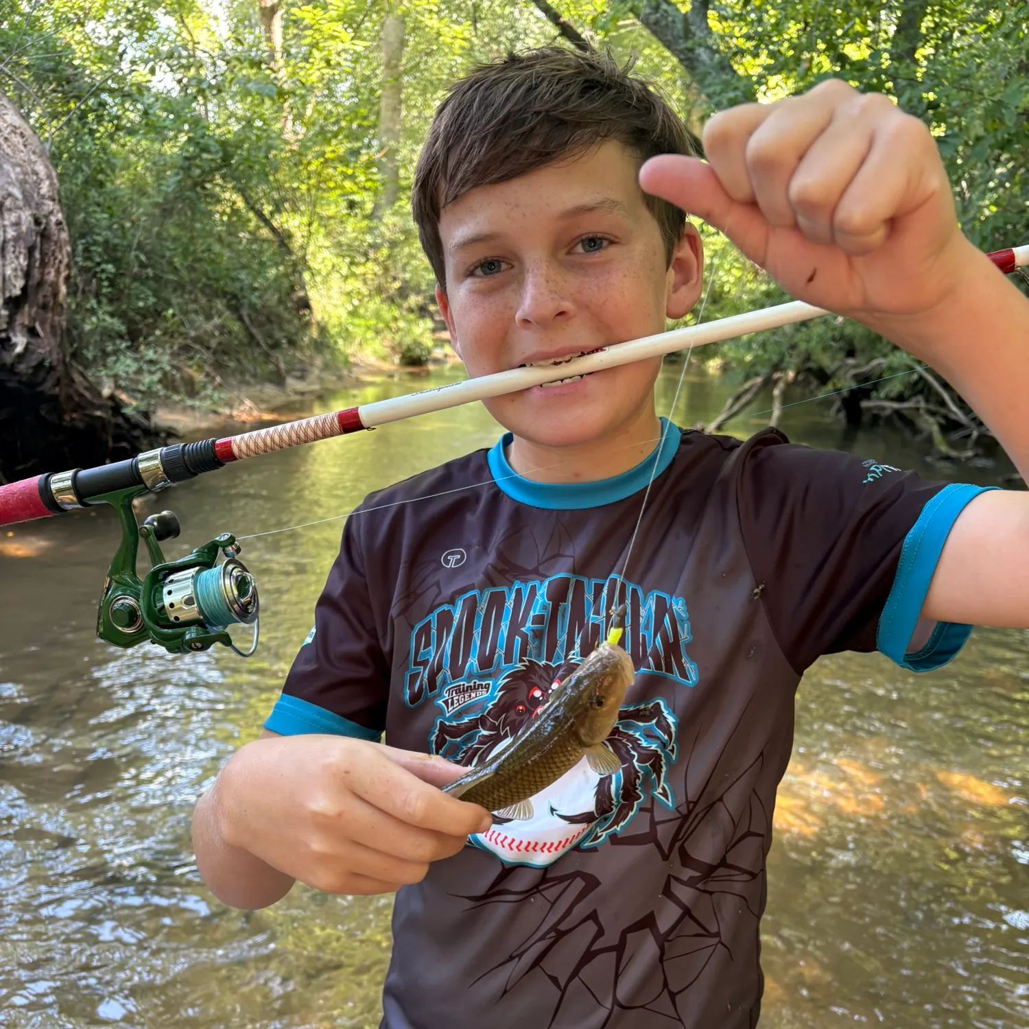 Creek chub caught on Fishbrain