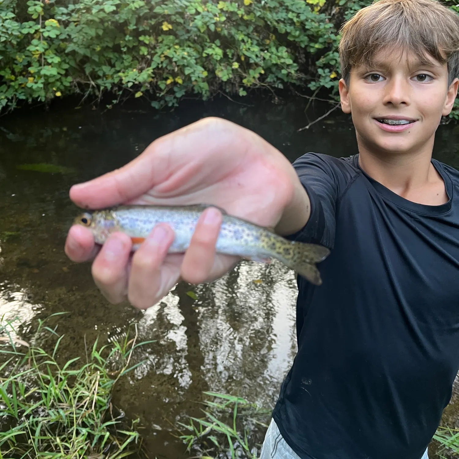 Rainbow trout caught on Fishbrain