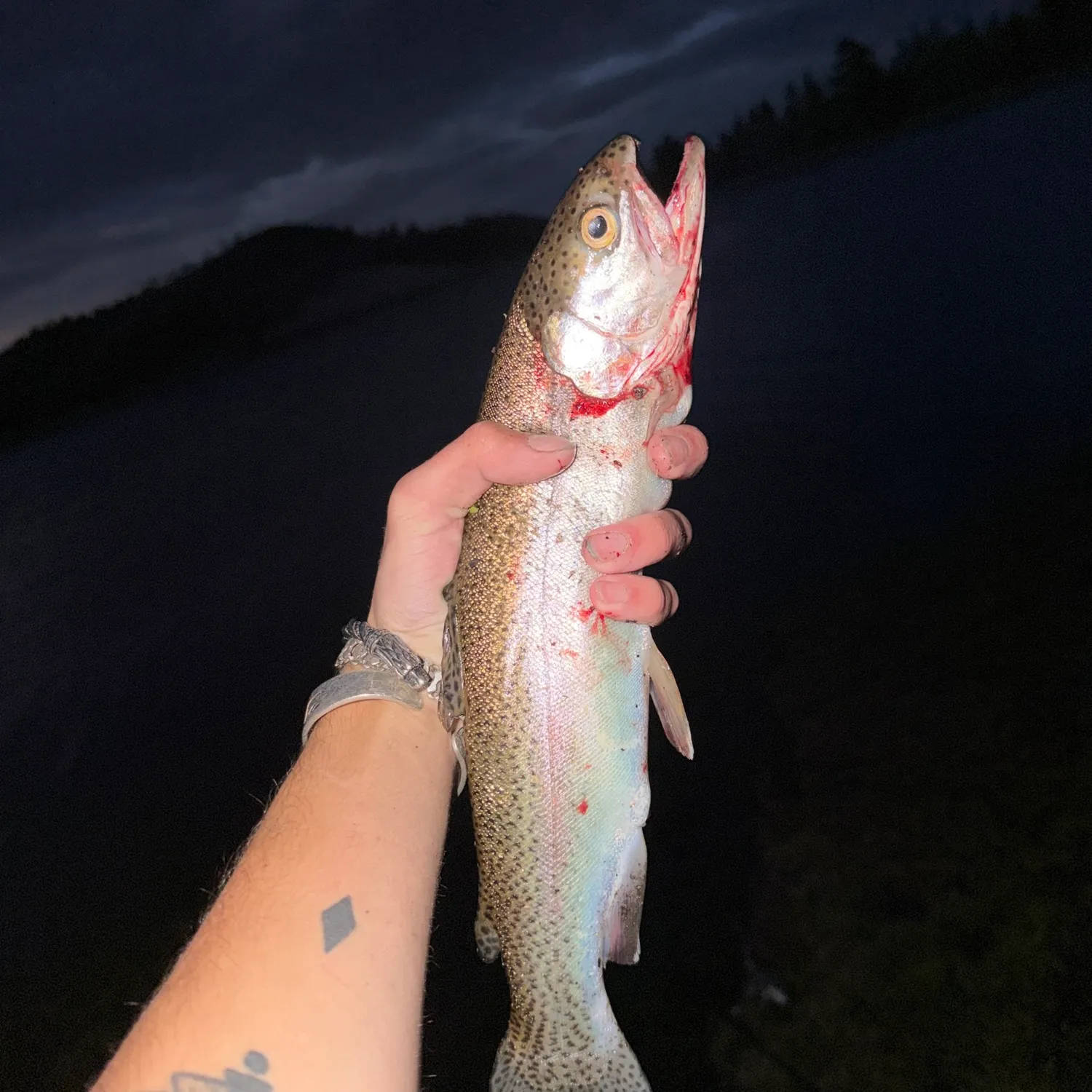 Rainbow trout caught on Fishbrain