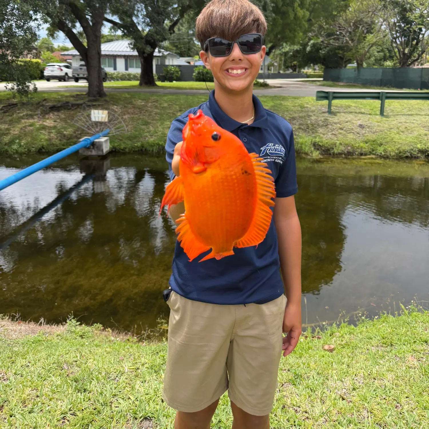 The most recent Midas cichlid catches on Fishbrain