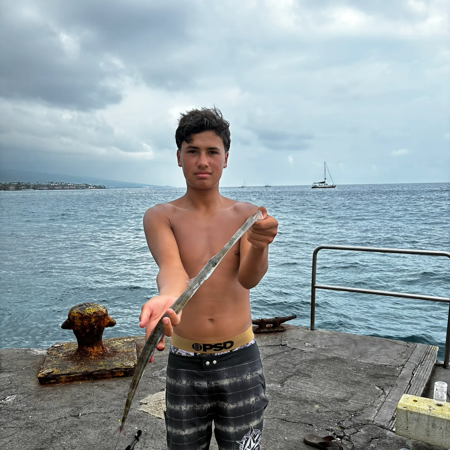 The most recent Chinese trumpetfish catches on Fishbrain