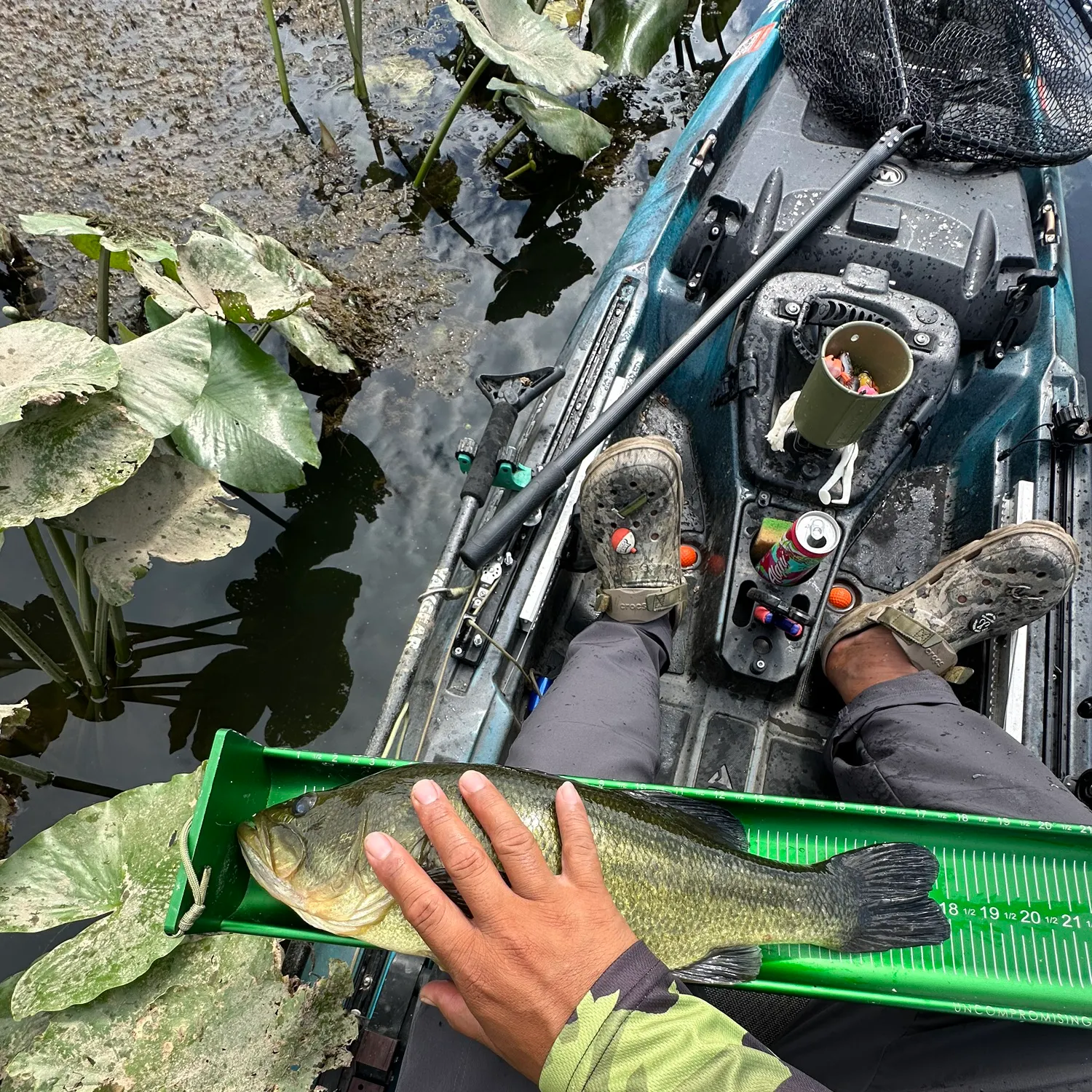 Largemouth bass caught on Fishbrain