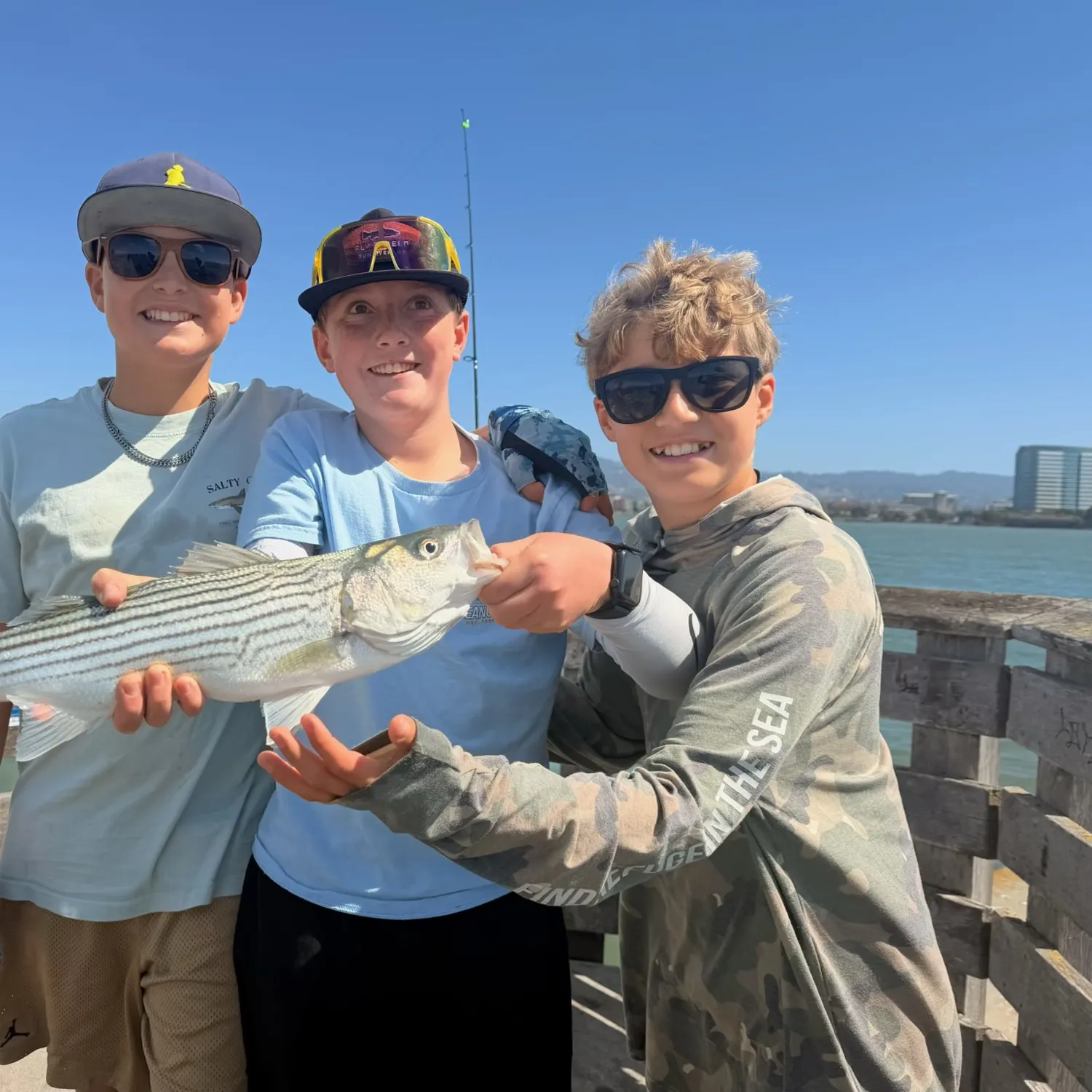 Striped bass caught on Fishbrain