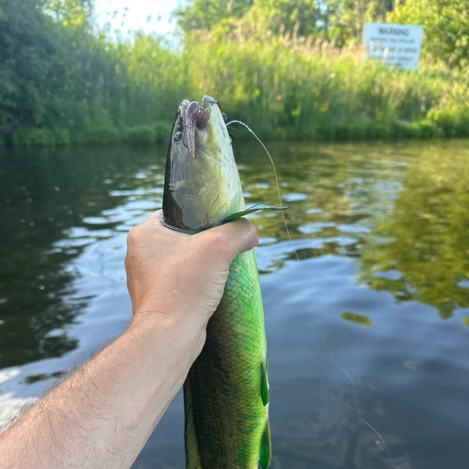 catch