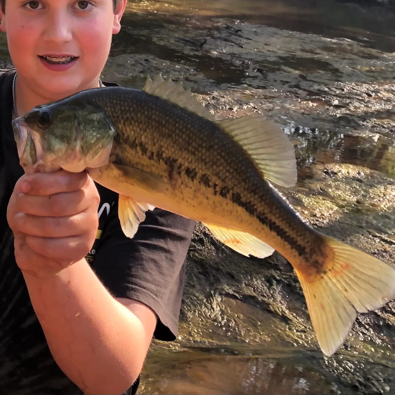 angler catch