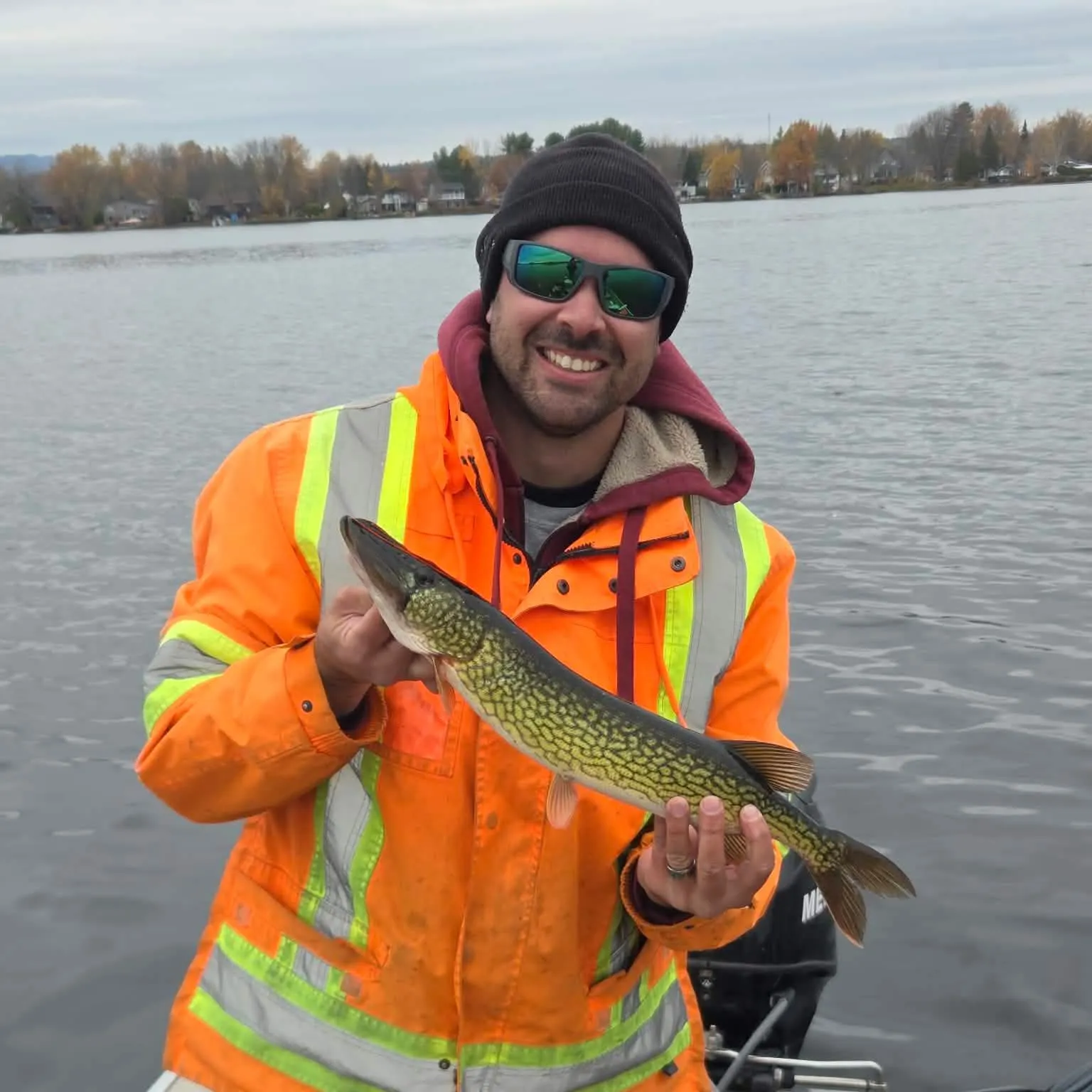 Chain pickerel caught on Fishbrain