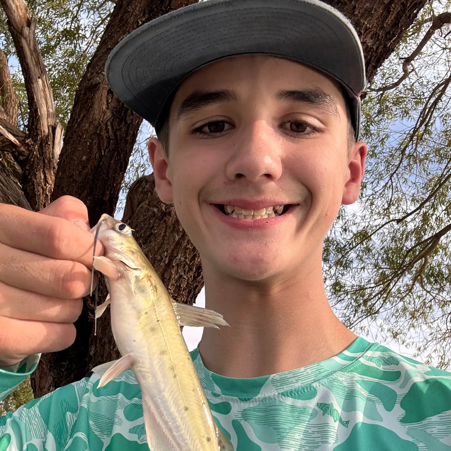 Channel catfish caught on Fishbrain