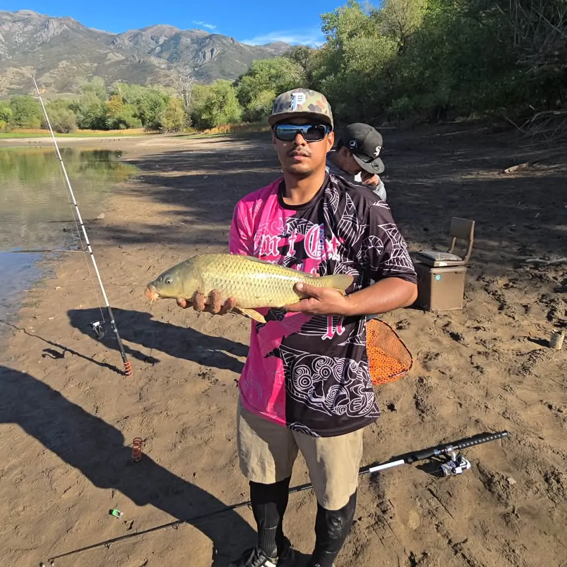 Common carp caught on Fishbrain