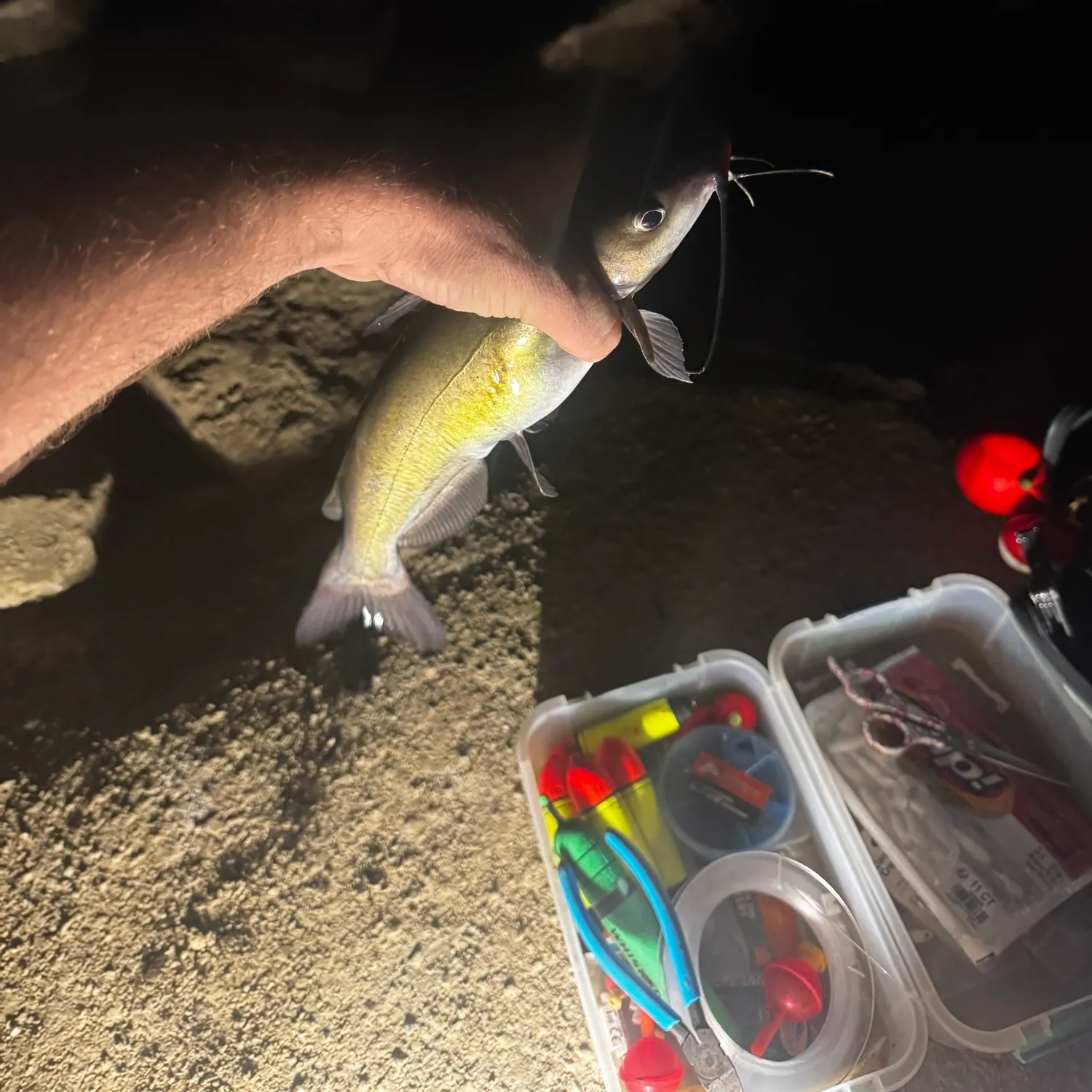 catch