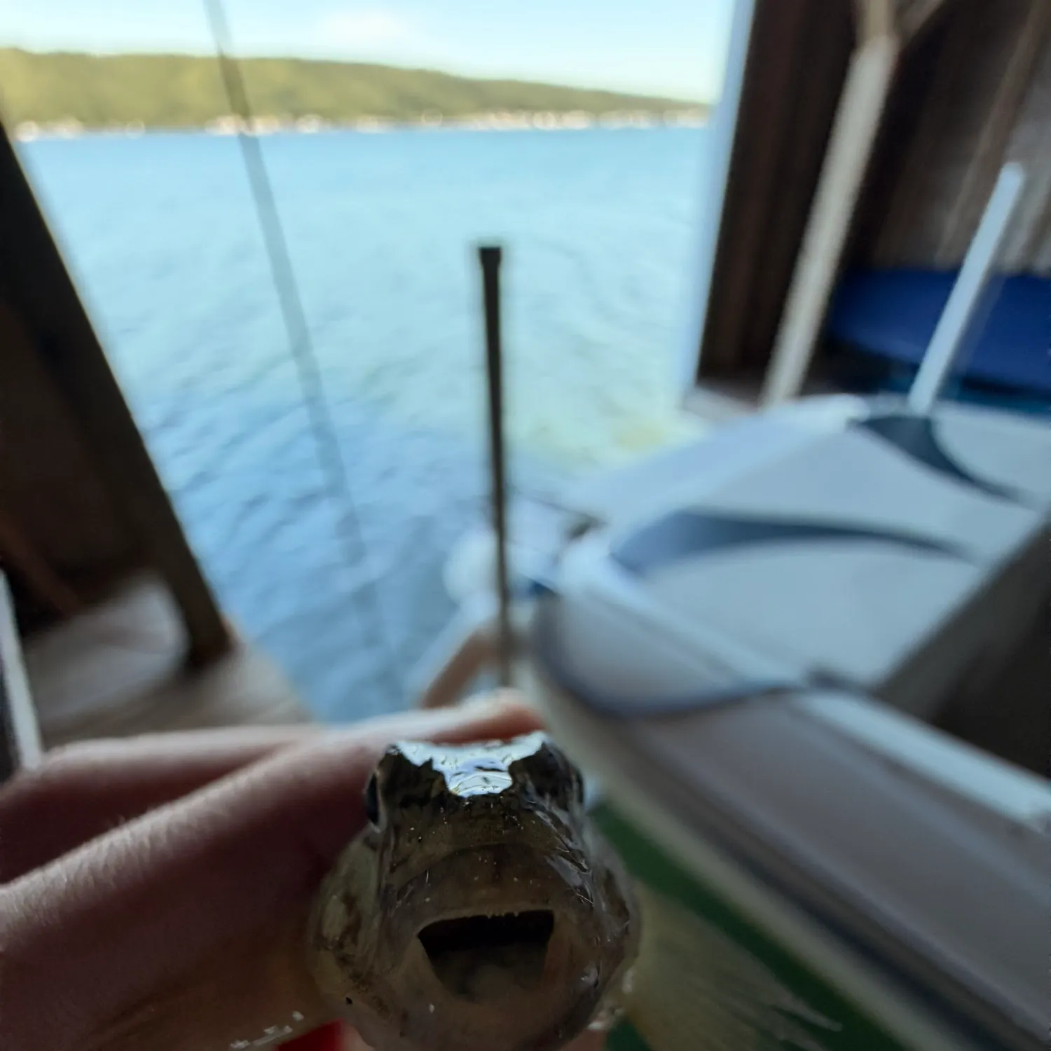 Round goby caught on Fishbrain