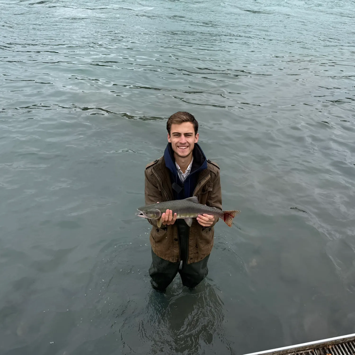 The most recent Pink salmon catches on Fishbrain