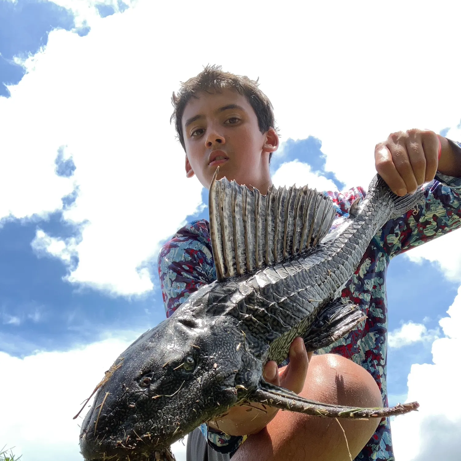 The most recent Suckermouth catfish catches on Fishbrain