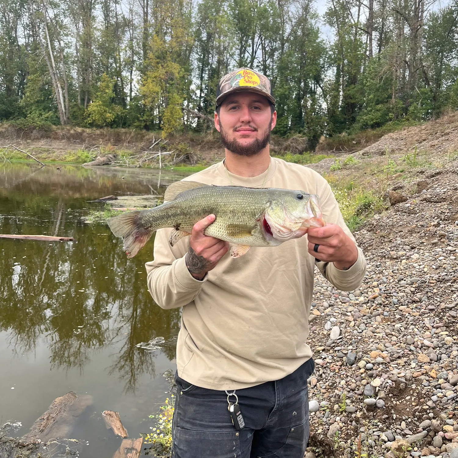 Largemouth bass caught on Fishbrain