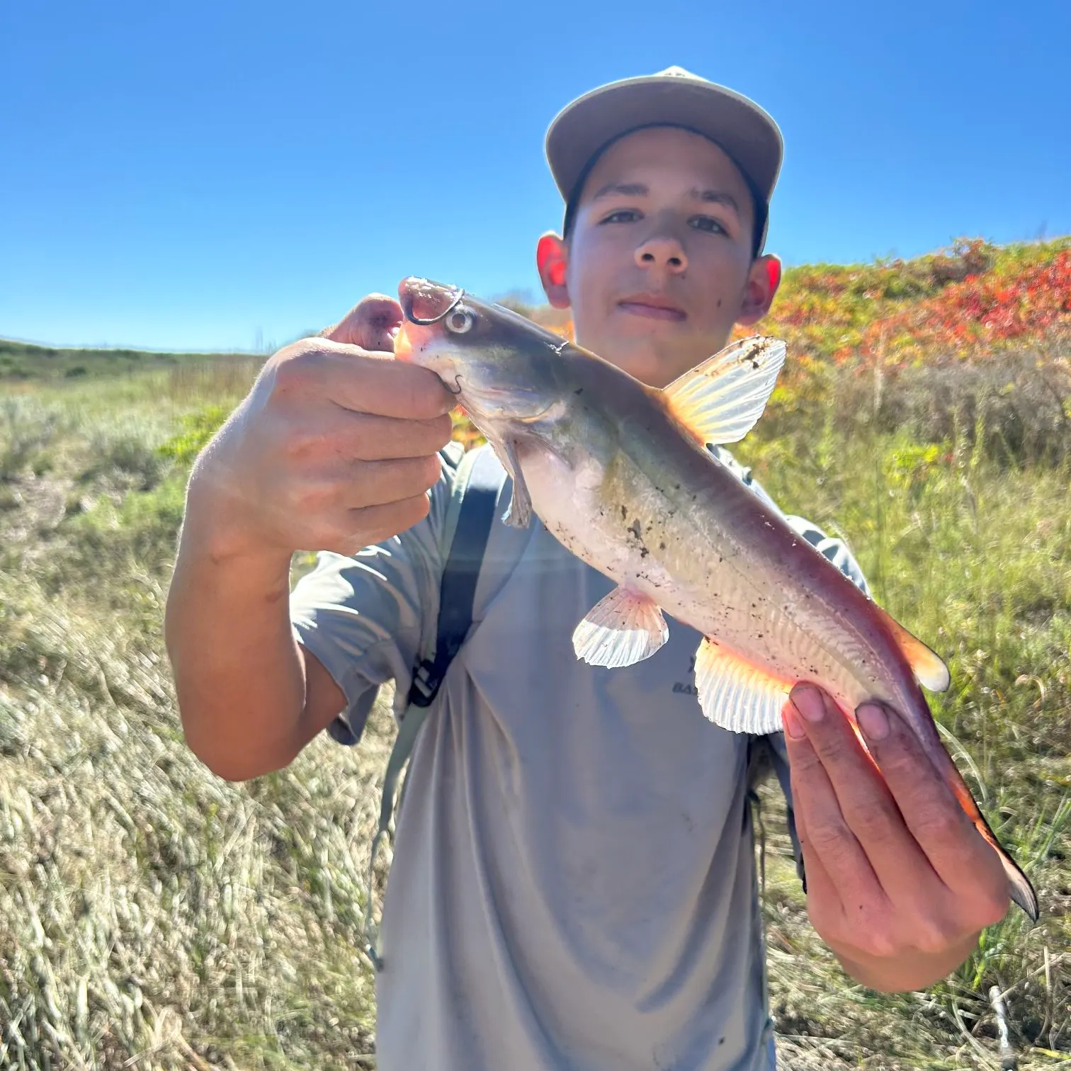 Channel catfish caught on Fishbrain