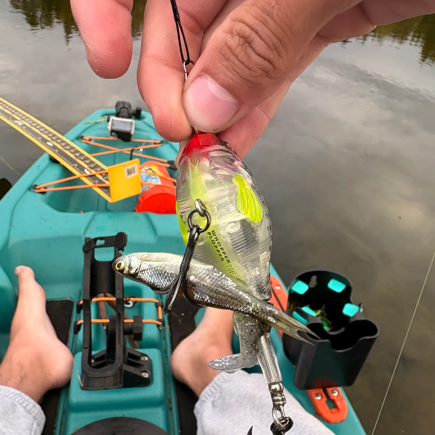 The most recent Emerald shiner catches on Fishbrain