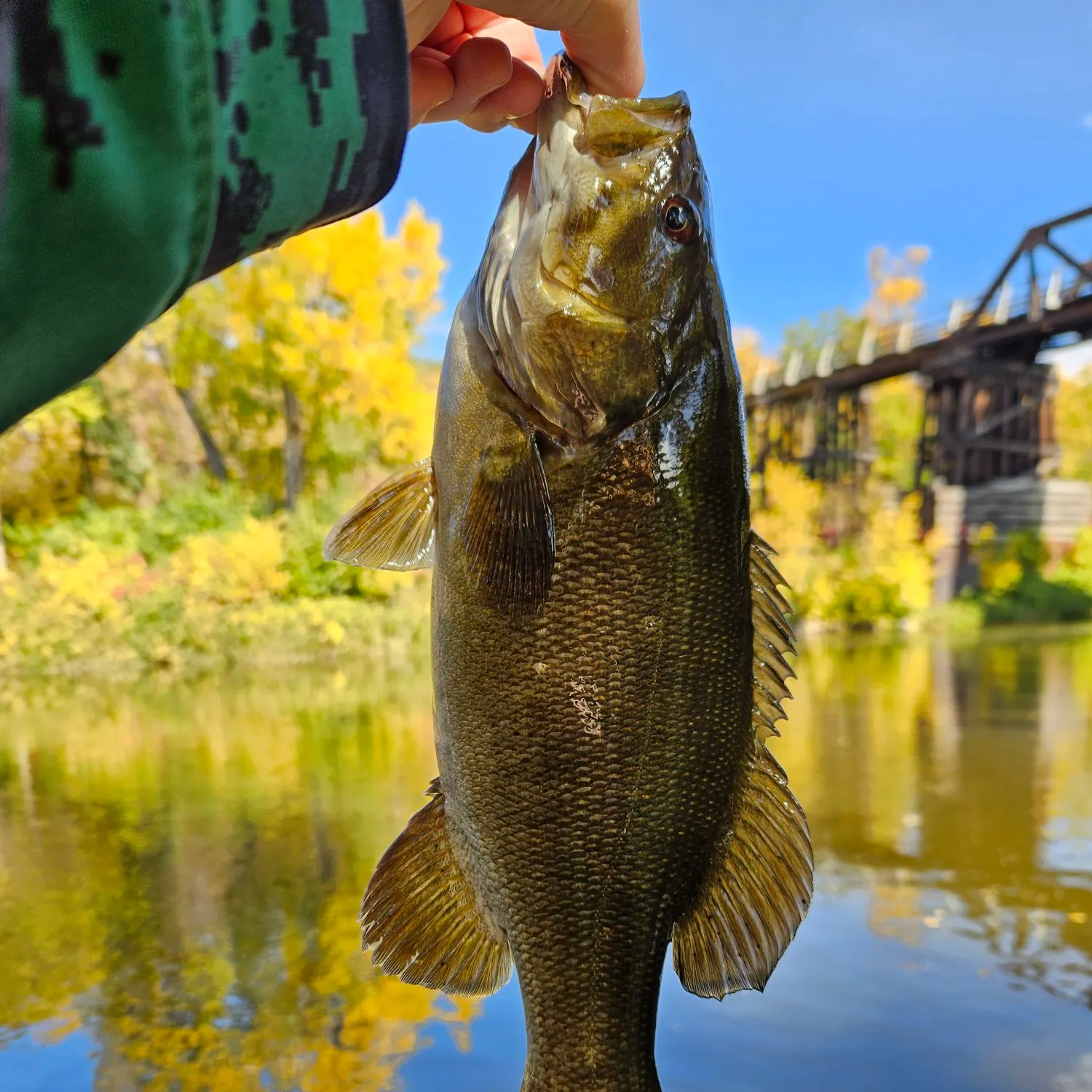 Smallmouth bass caught on Fishbrain