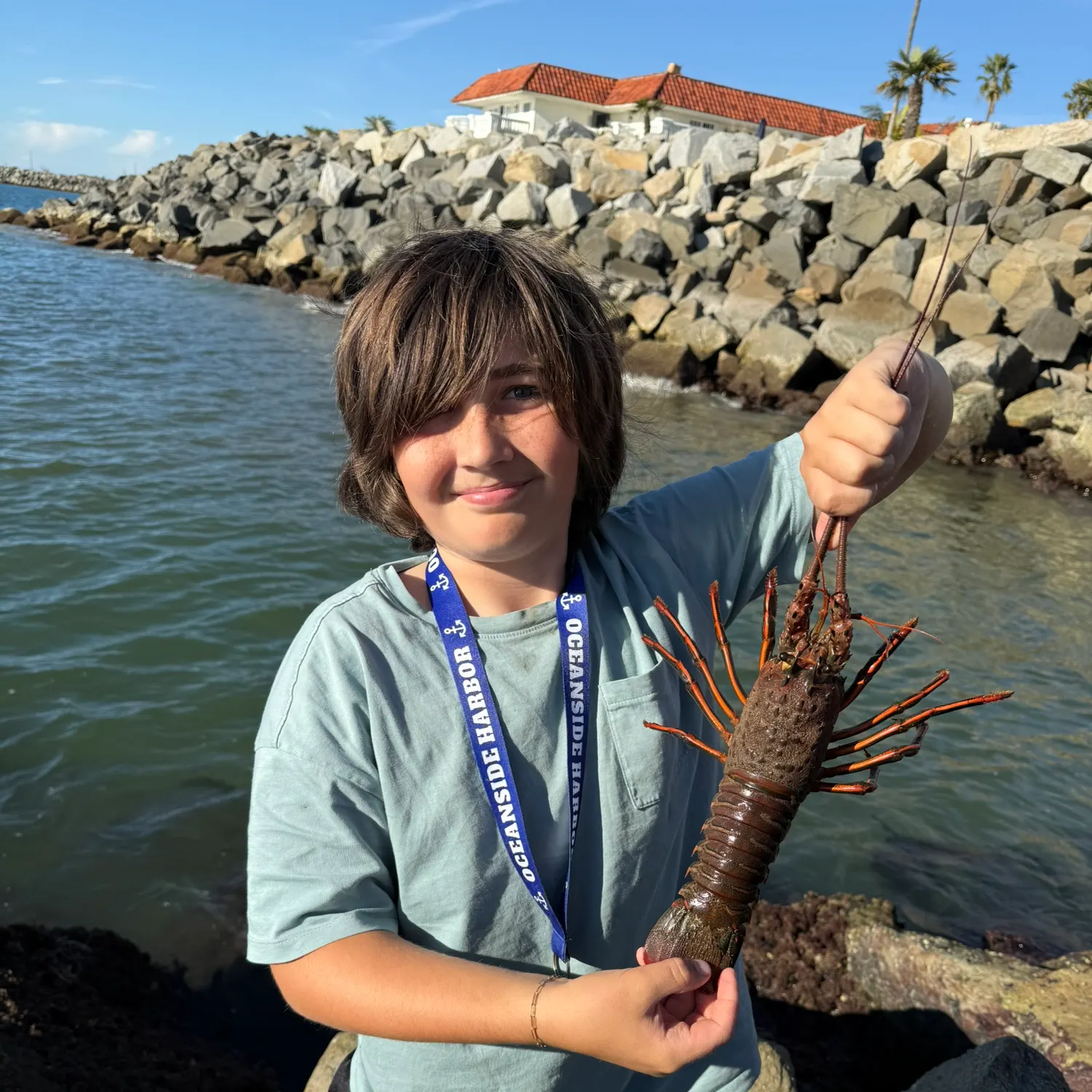 The most recent California spiny lobster catches on Fishbrain