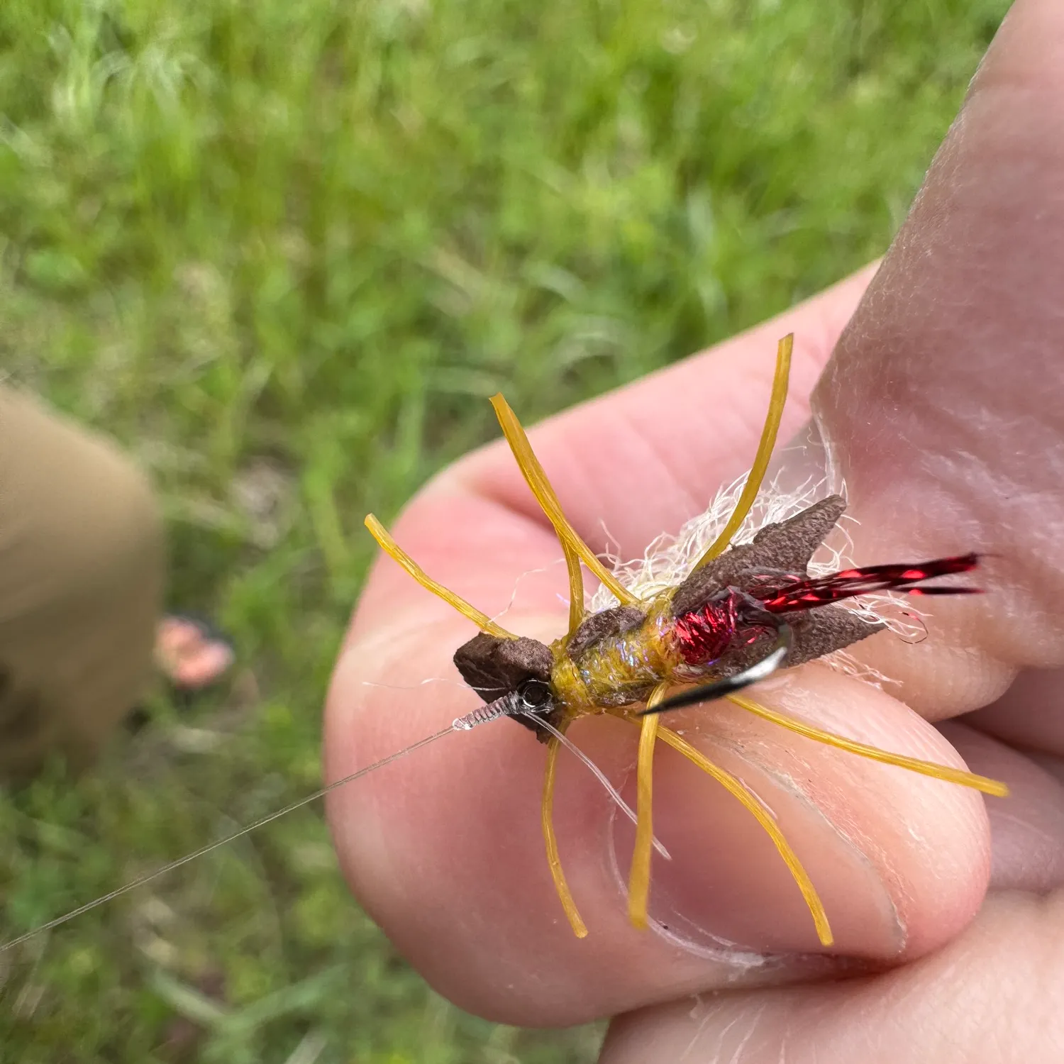 Cutthroat trout caught on Fishbrain