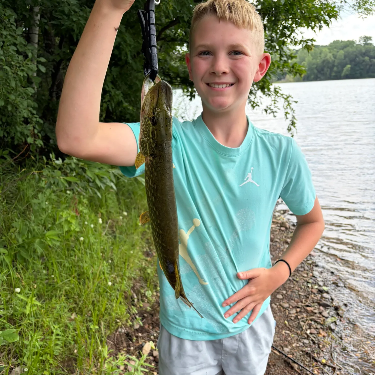 The most recent Grass pickerel catches on Fishbrain