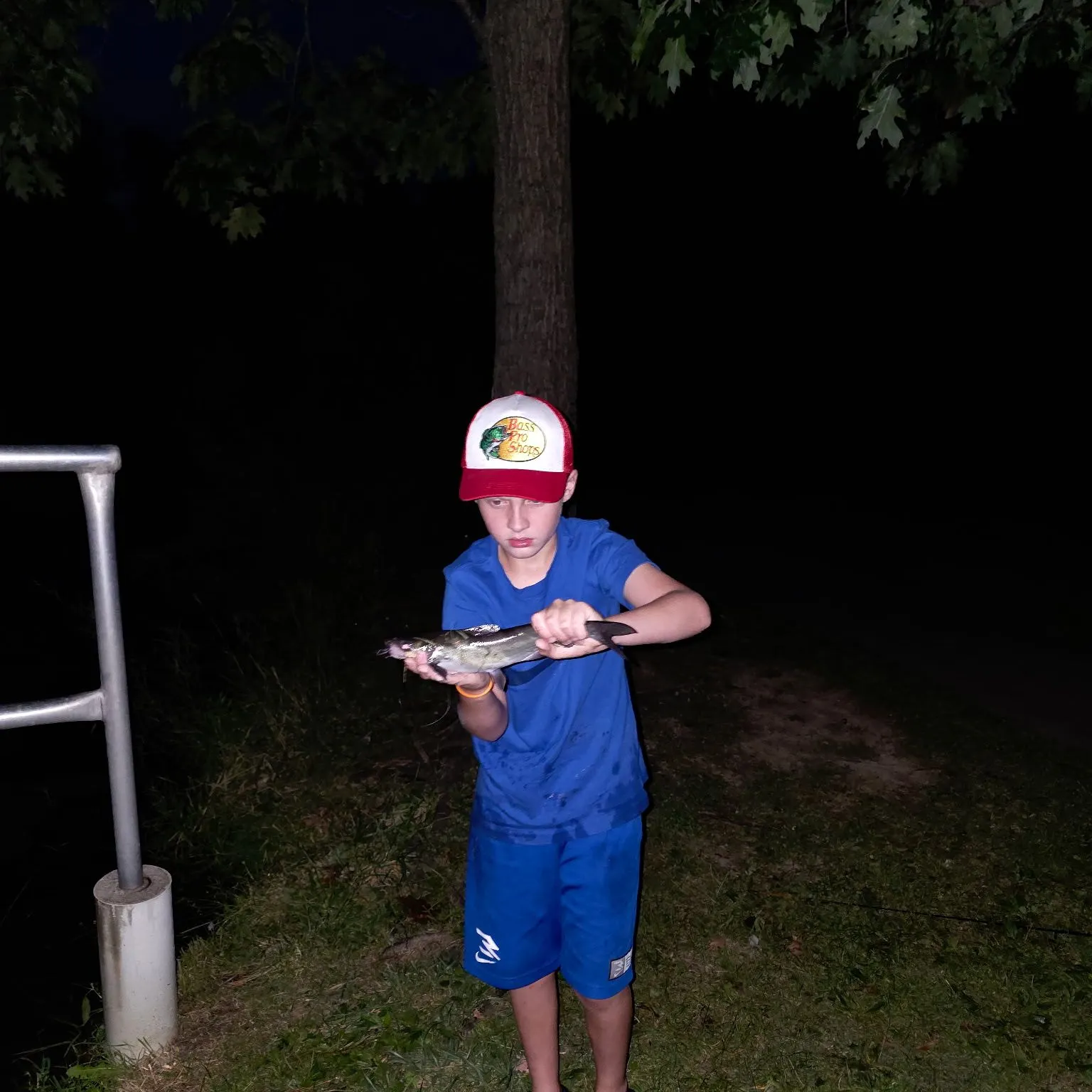 Blue catfish caught on Fishbrain