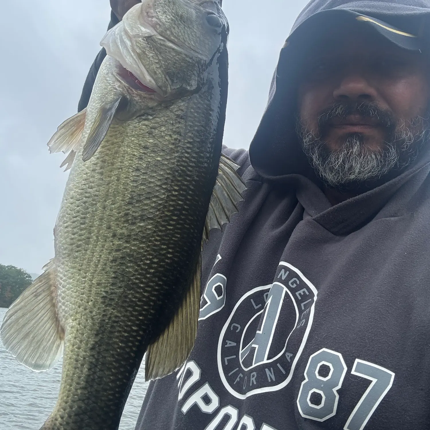 Largemouth bass caught on Fishbrain