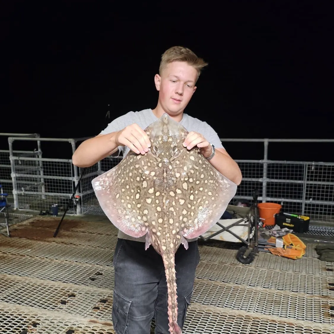 The most recent Thornback ray catches on Fishbrain