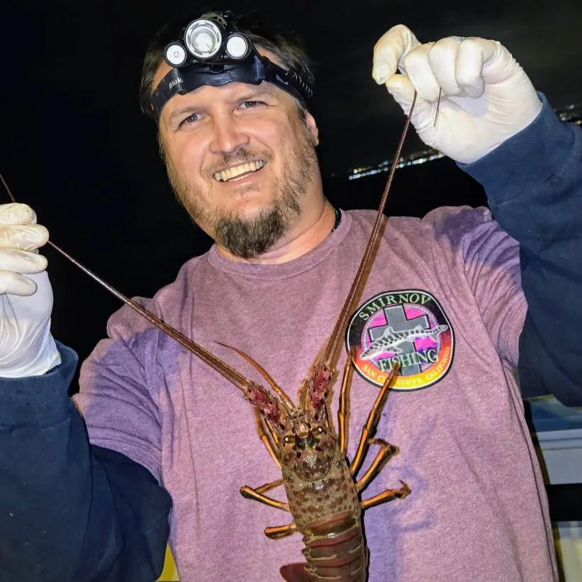 California spiny lobster caught on Fishbrain