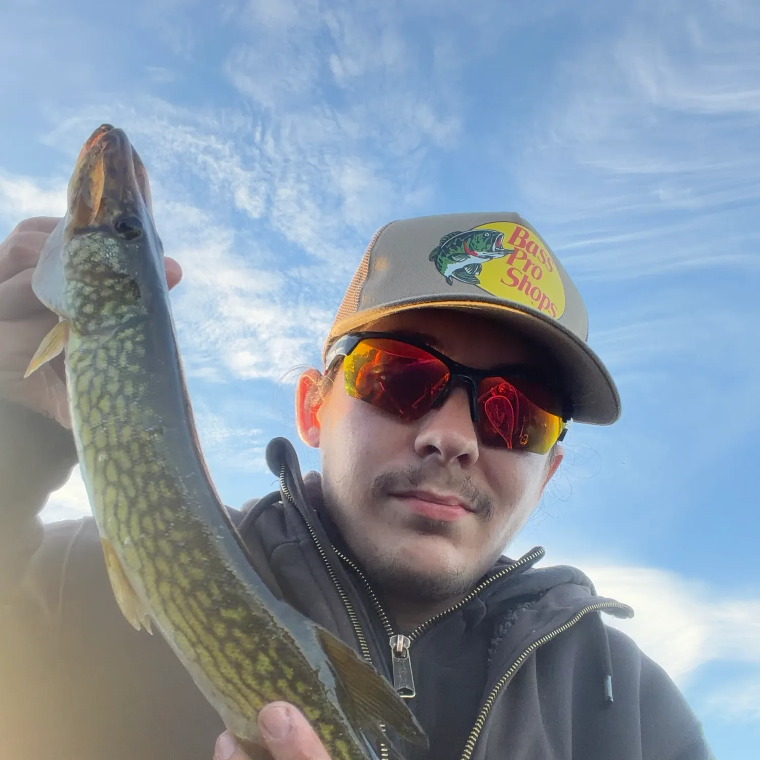 Chain pickerel caught on Fishbrain