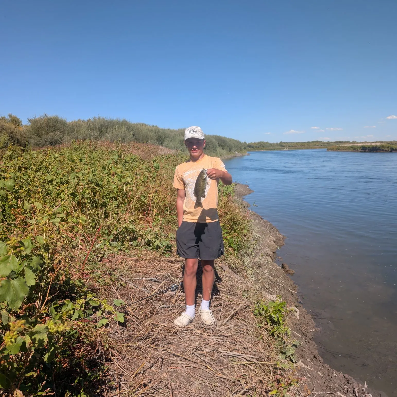 Smallmouth bass caught on Fishbrain