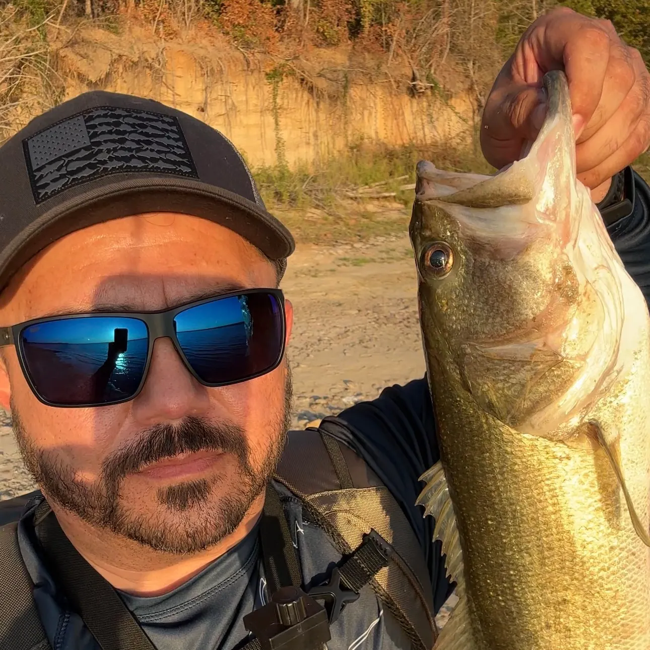 Largemouth bass caught on Fishbrain