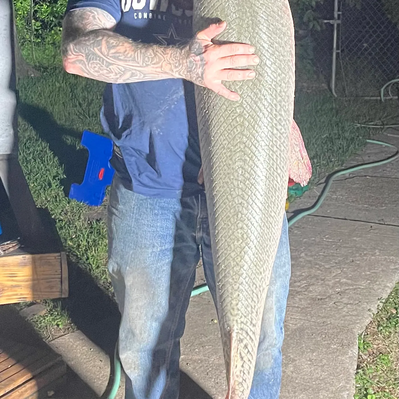 The most recent Alligator gar catches on Fishbrain